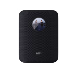 WiiM Sound Zwart Product Image